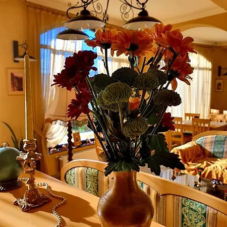 Pensiunea Casa Mircea & Restaurant Gasthof