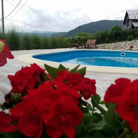 Pensiunea Casa Mircea & Restaurant Ieşelniţa