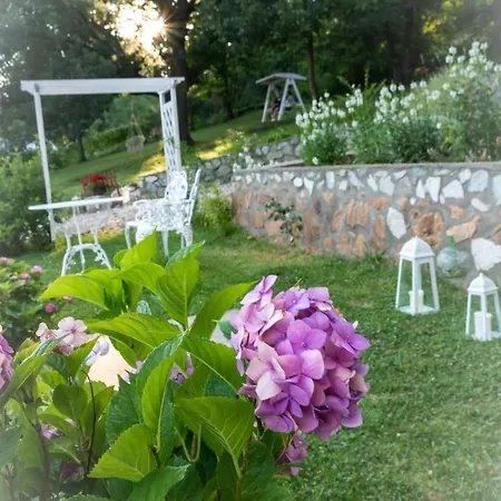 Gasthof Pensiunea Casa Mircea & Restaurant 3*
