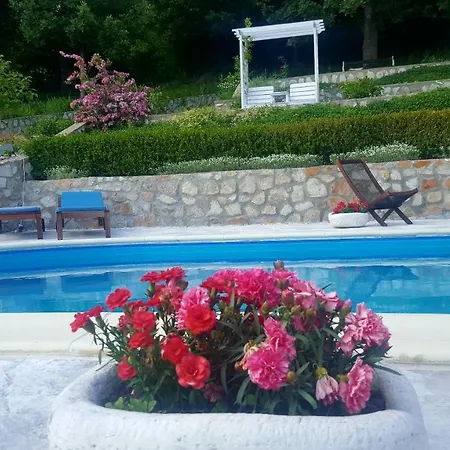 Pensiunea Casa Mircea & Restaurant