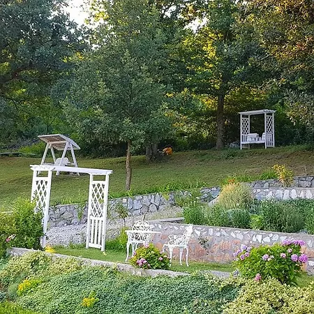 Pensiunea Casa Mircea & Restaurant